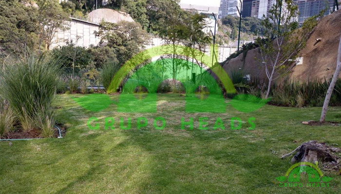 Grupo Heads - Proyecto 1